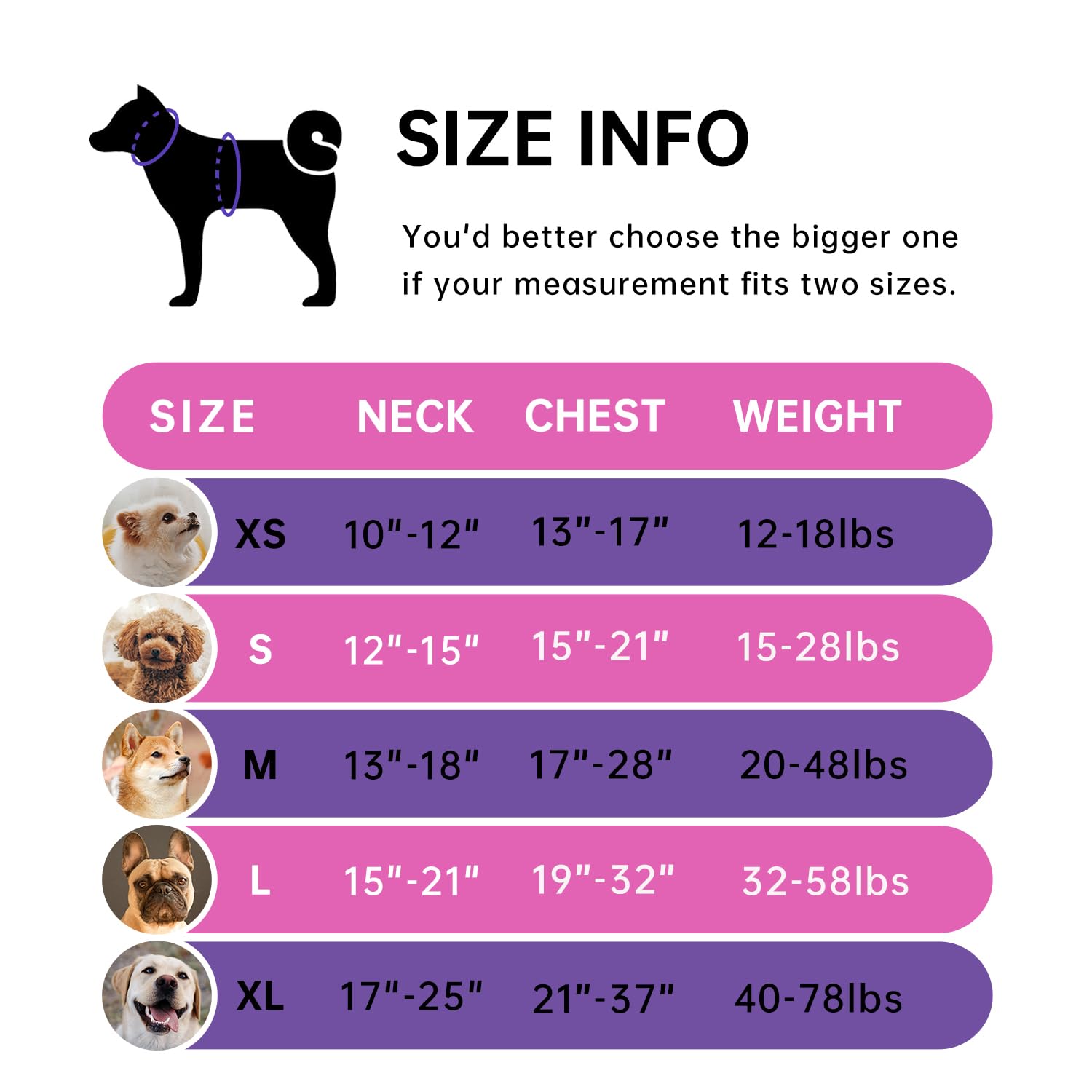 Ivy&Lane No Pull Dog Harness For Medium Dogs,Dog Vest Harness With Leash,Safety Belt And Storage Strap, Fully Adjustable Harness
