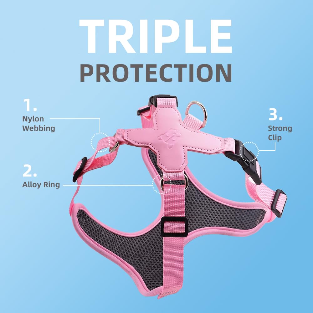 No Pull Dog Harness With Leash Set All Weather Mesh Adjustable Step In Fashion Splicing Escape Proof Vest Harness For Small And