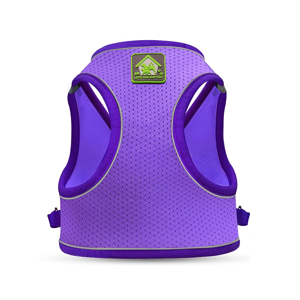 Feimax Dog Harness And Leash Set, No-Pull Breathable Soft Mesh Puppy Vest Harness Reflective Adjustable Pet Harnesses For Small Medium Dogs And Cats - Outdoor Easy Control For Walking (M, Purple)