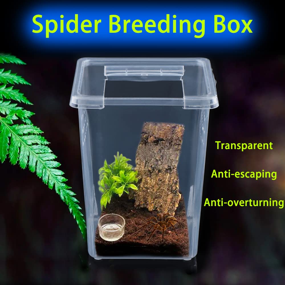 DQITJ 4 Pcs Acrylic Insect Breeding Box - Terrarium for Spiders, Scorpions, Mantis, Centipedes