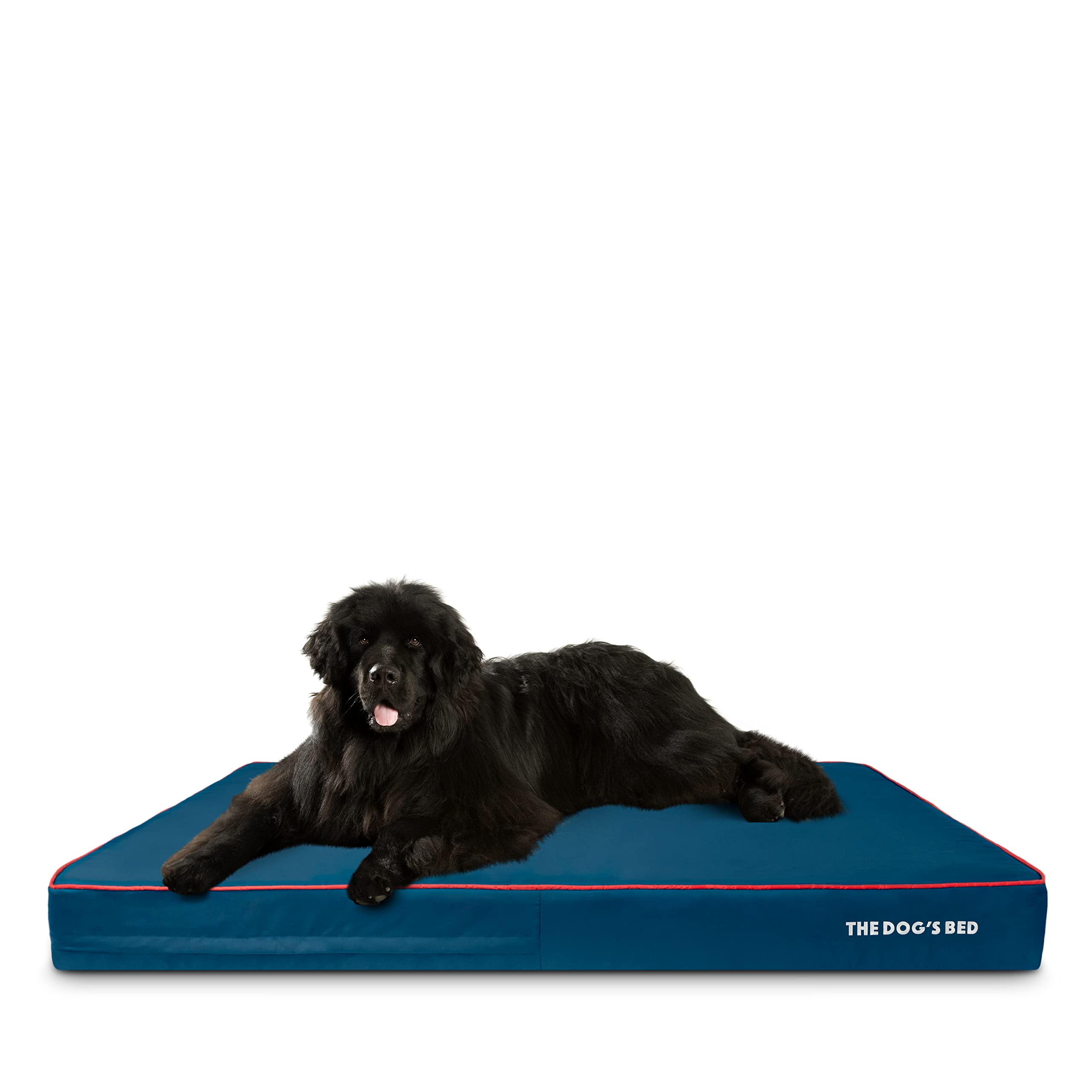 The Dogs Bed Orthopedic Memory Foam Dog Bed, XXXL Grey & Black 64x44, Waterproof, Supportive Dog Bed with Replaceable Covers, Ve