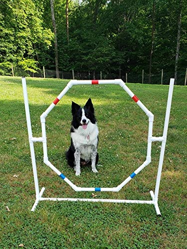 The Dog Agility Shop Dog Jump - Practice Tire/Hoop Jump - Pvc Material - 29 Inch Diameter