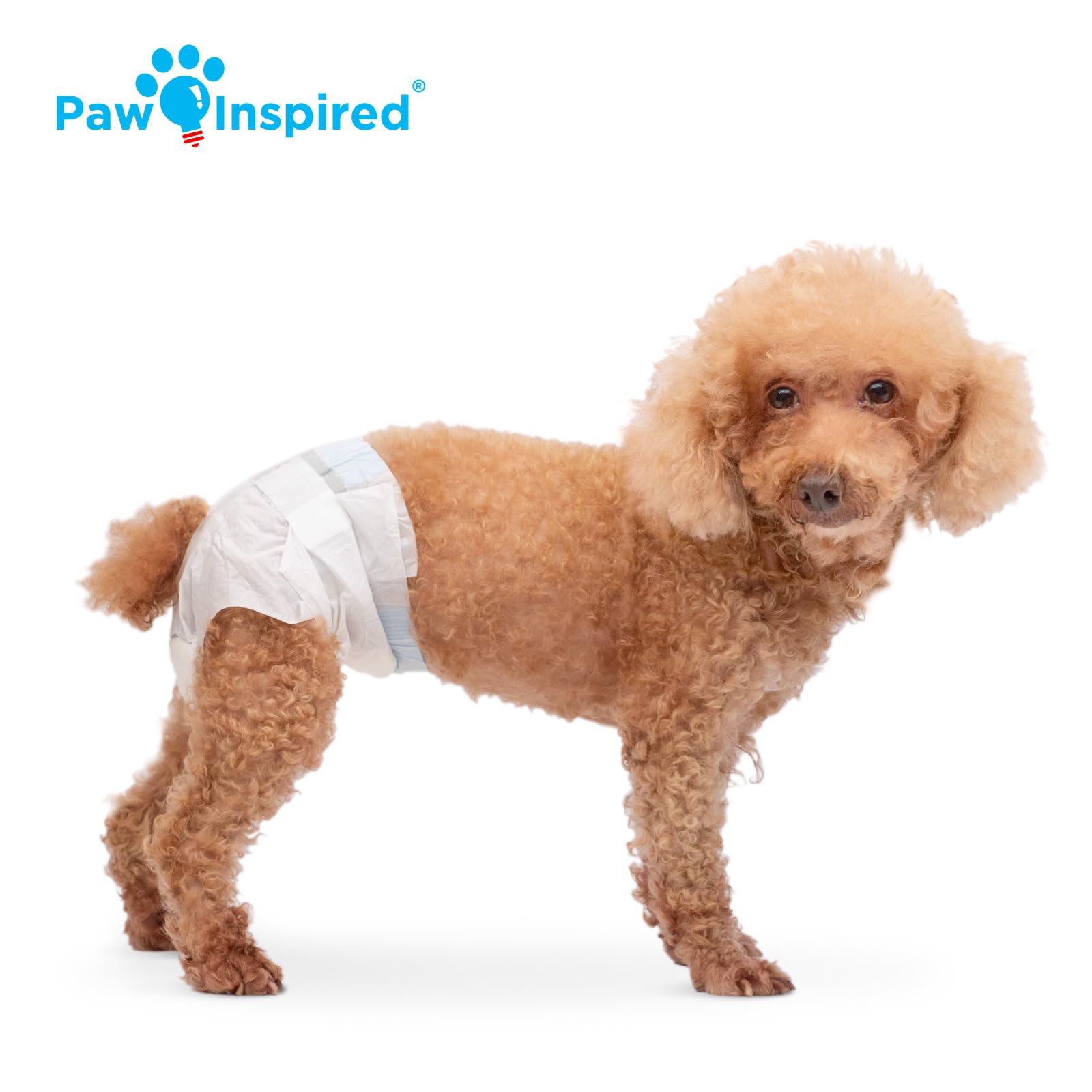 Paw Inspired Disposable Dog Diapers  Female Dog Diapers Ultra Protection  Diapers for Dogs in Heat, Excitable Urination, or Inco