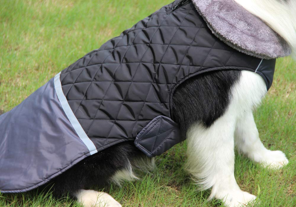 Joydaog Fleece Collar Reversible Dog Coats For Small Dogs Waterproof Warm Puppy Jacket For Cold Winter,Black M