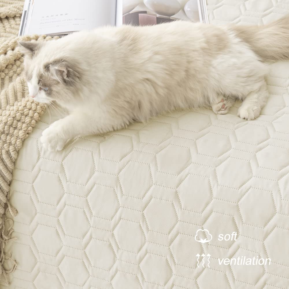 Tcksstex Waterproof & Anti-Slip Dog Bed Cover, 68x82 Inch, Ivory, Polyester - Incontinence Mattress Protector for Pets