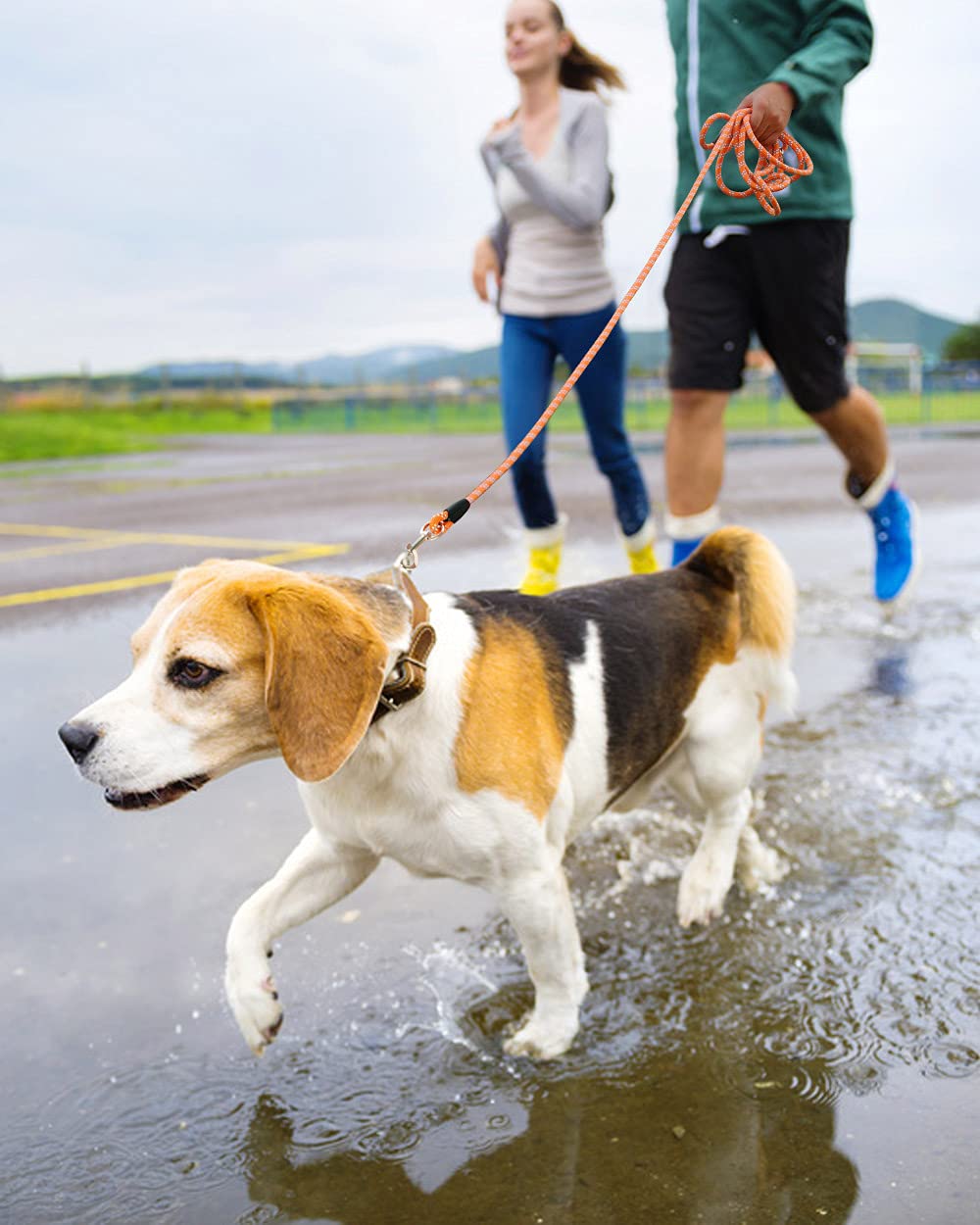 100Ft Extra Long Dog Leash For Dog Training, Reflective Threads Check Cord Dog Leash, Heavy Duty Dog Lead For Large Medium Small Dogs Outside Walking, Playing, Camping, Or Yard