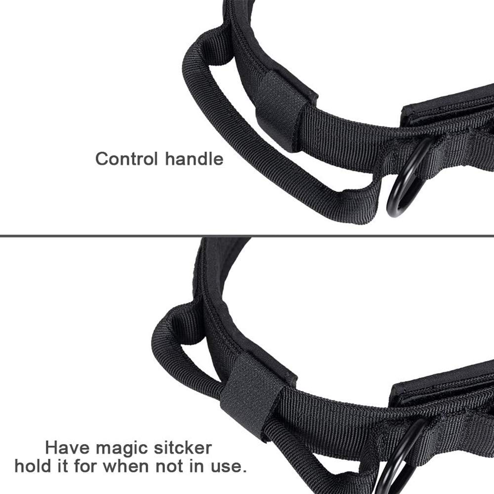 Tactical Dog Collar And Leash Set Tactical Dog Collar With Handle Bungee Leash Adjustable Military Training Nylon Collar Dog Training Collar Leash Set With Control Handleand Metal Buckle (Black Xl
