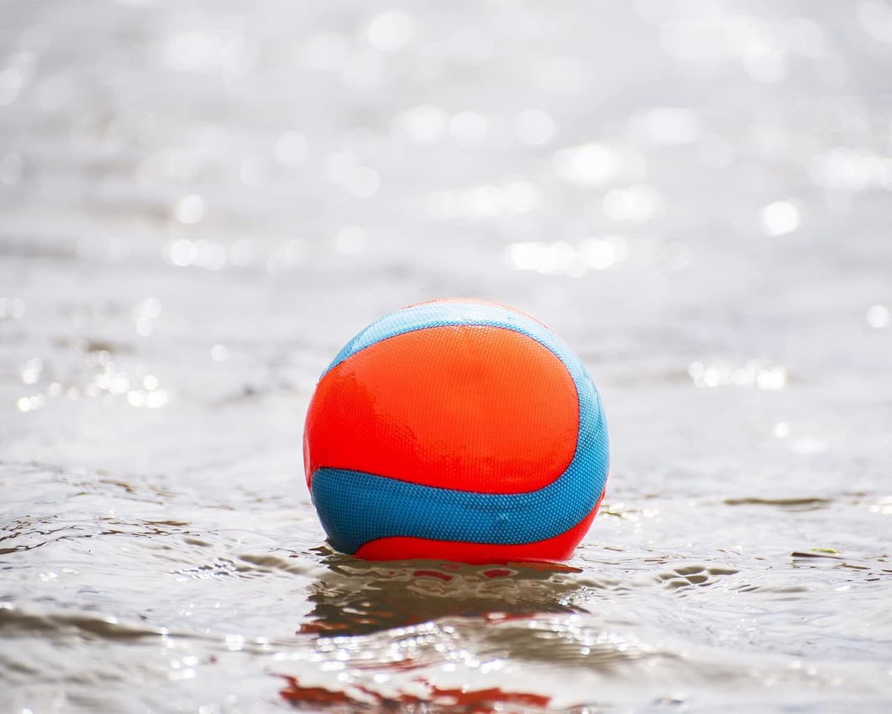 Chuckit! Amphibious Mega Ball Or Roller That Floats For Medium And Large Dogs