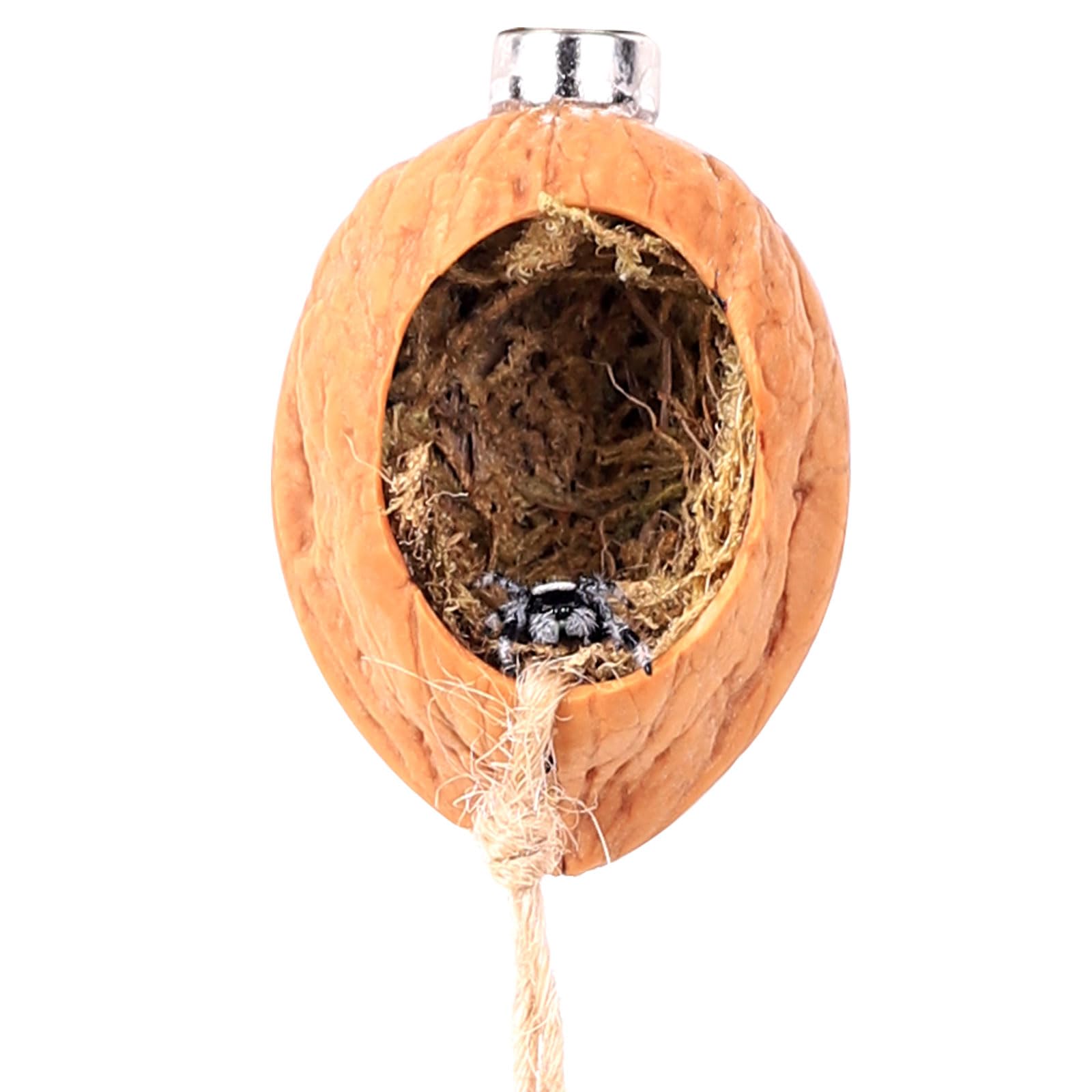 Daerky Walnut Skin Spider Shelter - Magnetic Jumping Spider Habitat, Handmade Enclosure