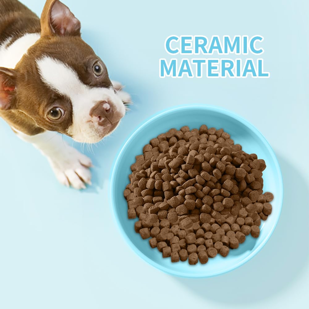 Ceramic Slow Feeder for Dogs & Cats, Dog Slow Bowl and Puzzle Feeder Cat Bowl to Slow Down Eating Dogs, Interactive Treats and W