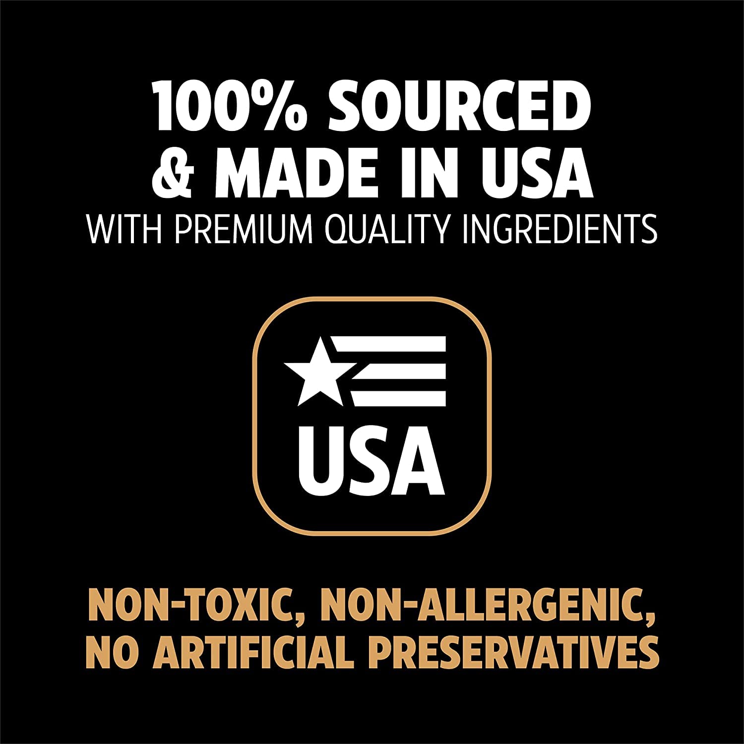 Pet Qwerks Nylon Stick Barkbone - Durable Dog Toys For Aggressive Chewers - Peanut Butter Flavor - 9'