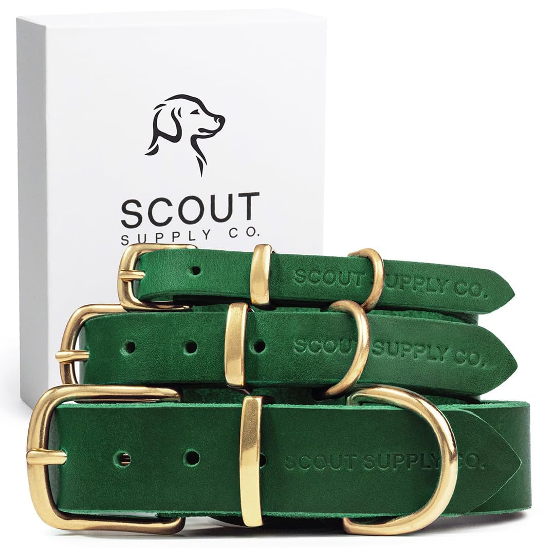 Scout Supply Classic Leather Dog Collar | Heavy Duty Thick Full Grain Leather | Waterproof & Rust-Proof Brass Hardware (Green, X