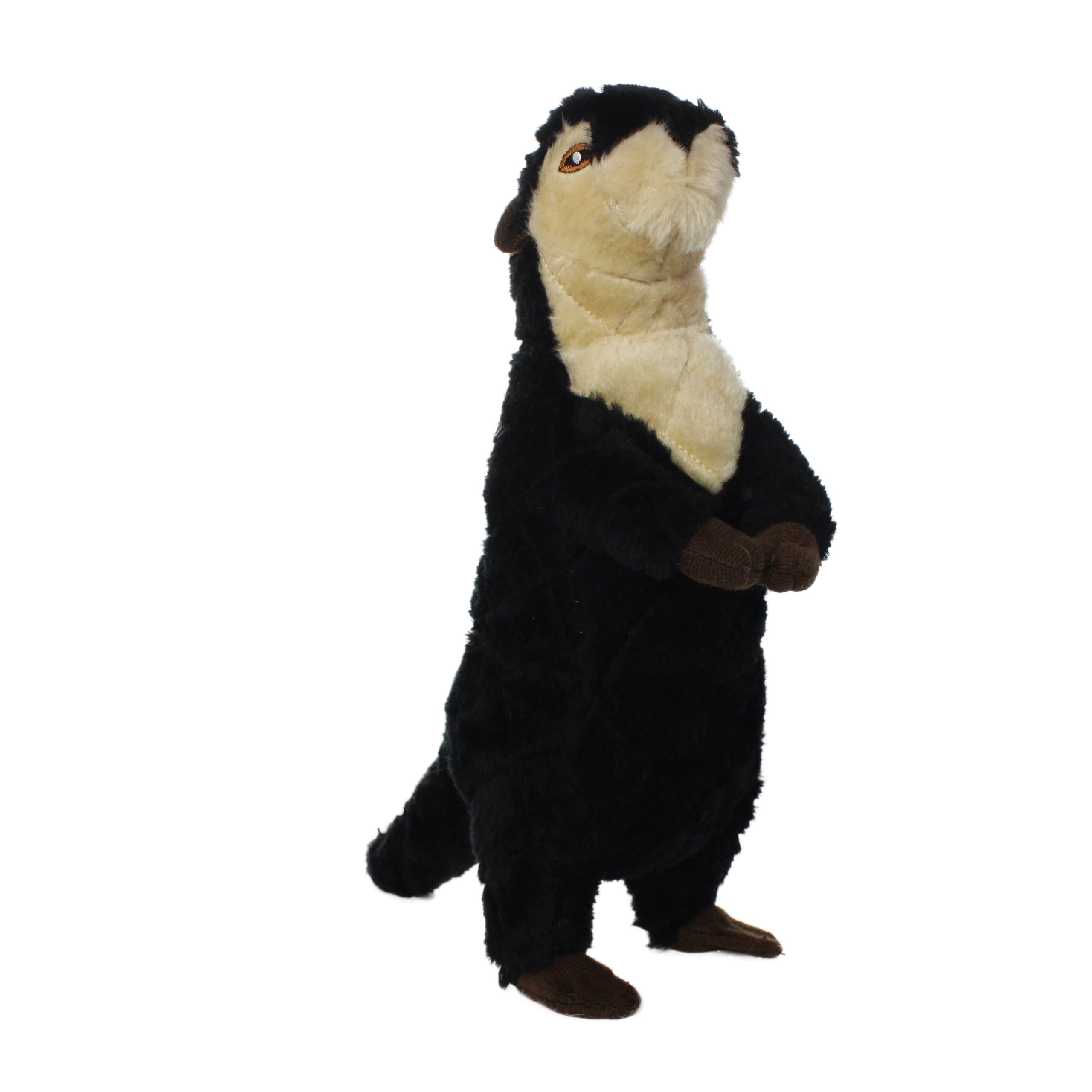 MIGHTY- Safari Meercat - Squeaker-Multiple Layers. Made Durable, Strong & Tough. Interactive Play Dog Toy (Tug, Toss & Fetch). M