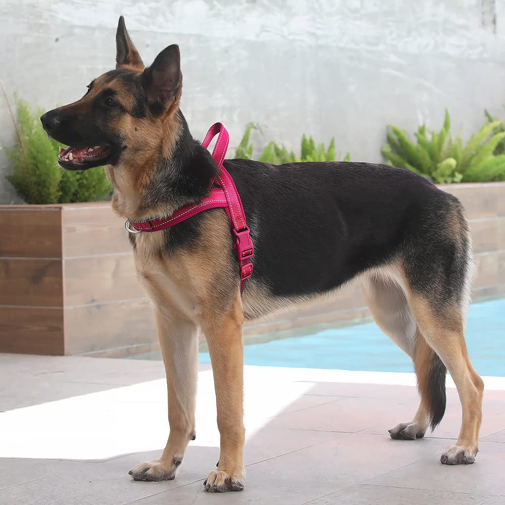 Plutus Pet No Pull Dog Harness With Breathable Mesh Padded, Adjustable Reflective Escape Proof Dog Harness, Quick Fit Dog Vest Harness For Small Medium Large Dogs(L, Pink)