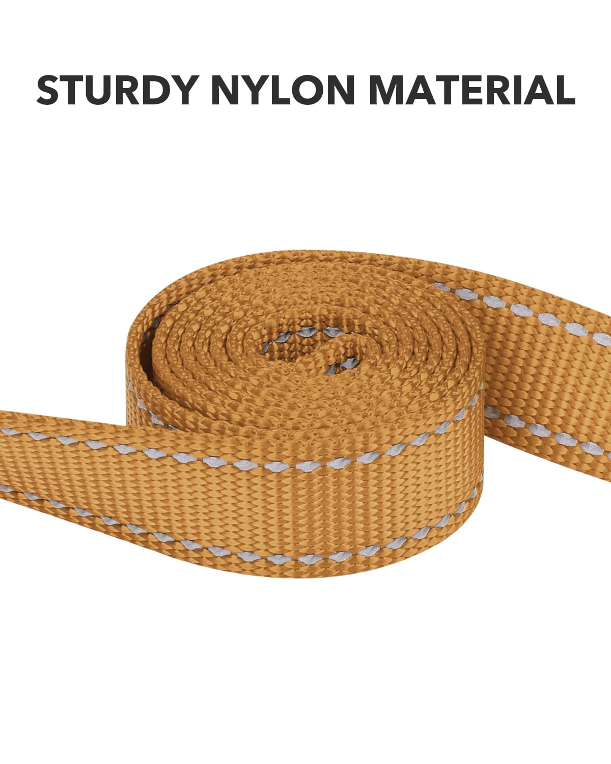 Taglory Nylon Dog Leash 6Ft, Soft Padded Handle Pet Reflective Leashes For Puppy Small Medium Dogs Walking & Training,Tan