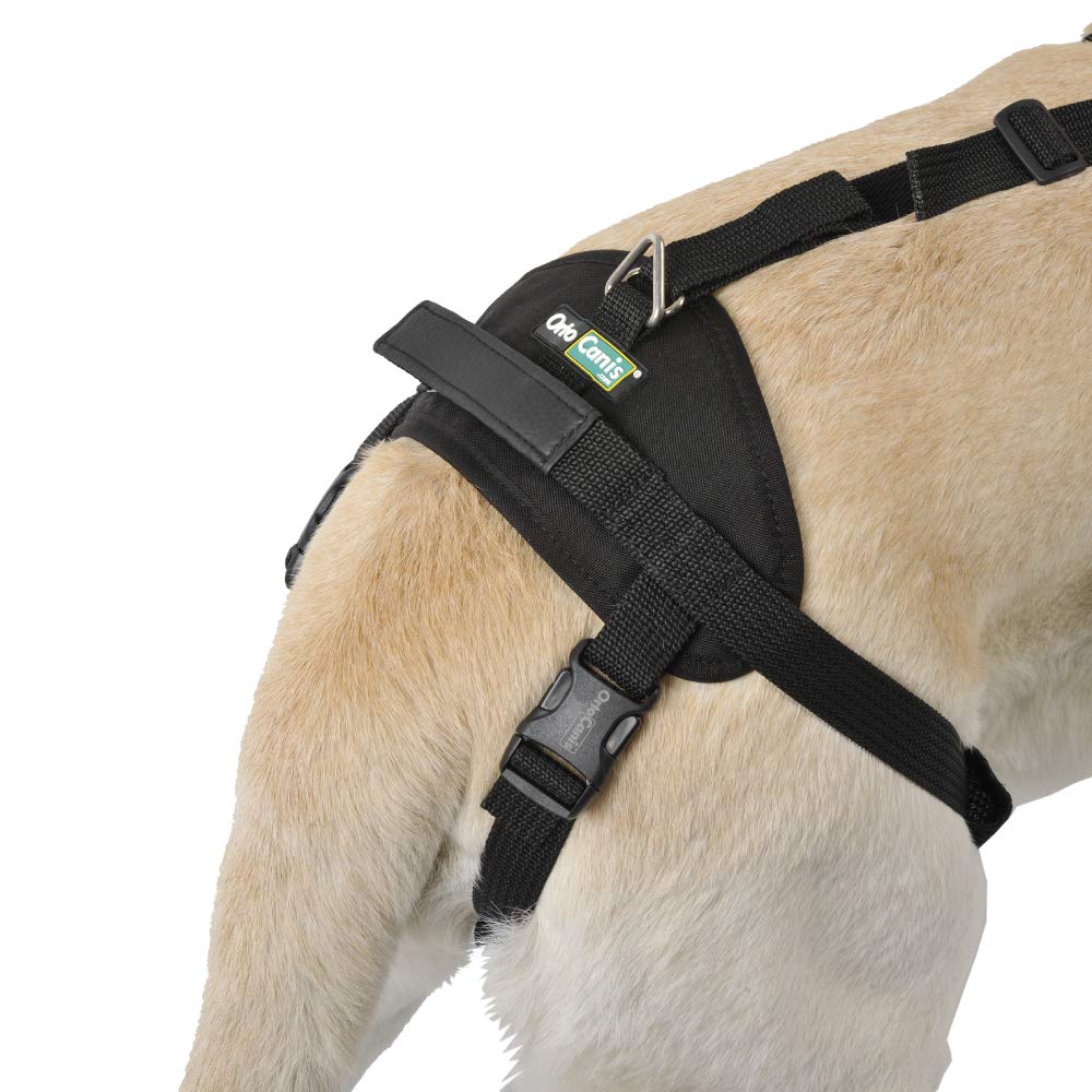 Ortocanis - Full-Body Dog Harness For Fore And Hind Support. Size S