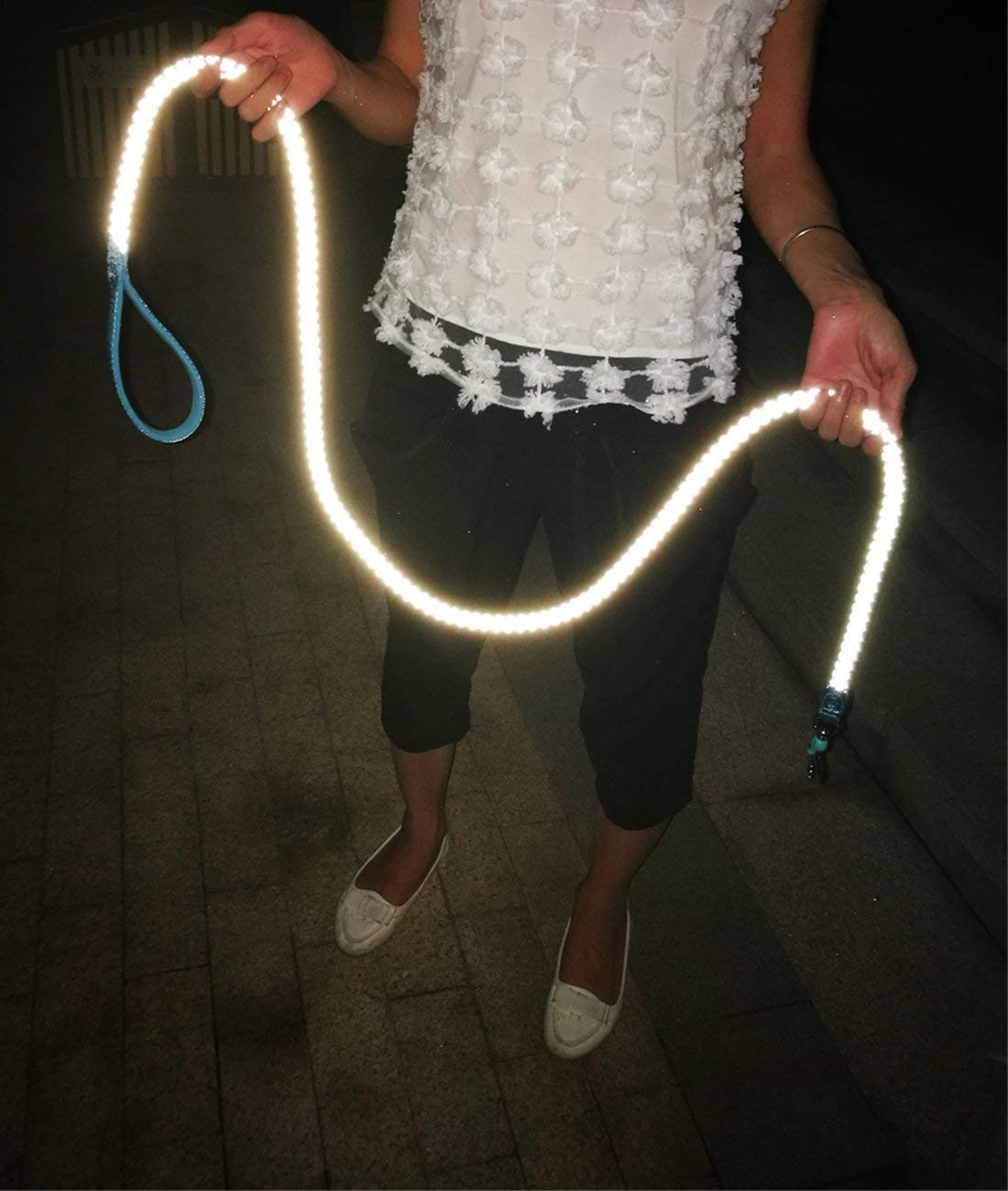 Mycicy Reflective Rope Leash Large Dog Leash Strong Braided Heavy Duty Soft Padded Handle Dog Leash For Ex-Large Large Dogs Training Walking Leads (3/4Inch- 6Ft-Green)