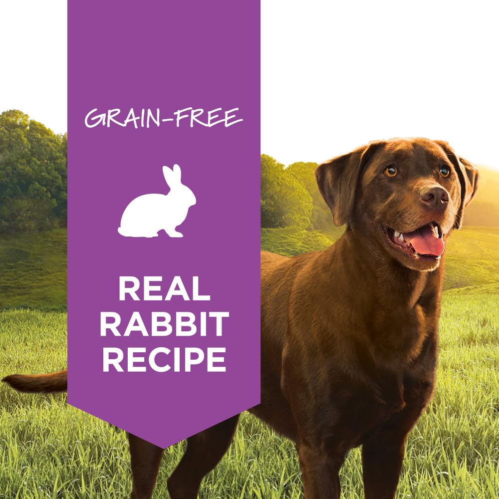 Instinct Original Wet Dog Food, Grain Free Recipe - Real Rabbit, 13.2 oz. Cans (Pack of 6)