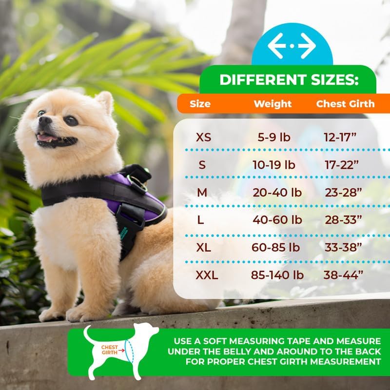 Joyride Harness 2.0 - The Original Side Ring No Pull Dog Harness - No Choke, Escape Proof, Reflective, 3 Leash Clips, Quick Fit