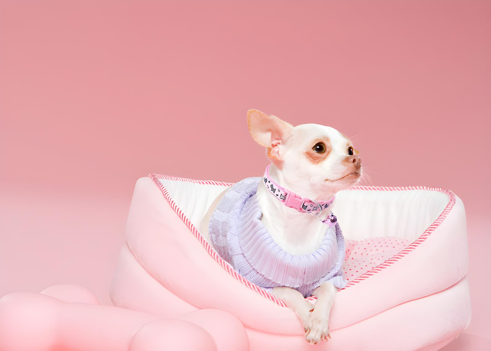 Xsmall Dog Collar With Bell, 2 Pack Boys Puppy Collar With Bell, Nylon Cute Cat Collars Adjustable For Xxs Xs Little Small Male