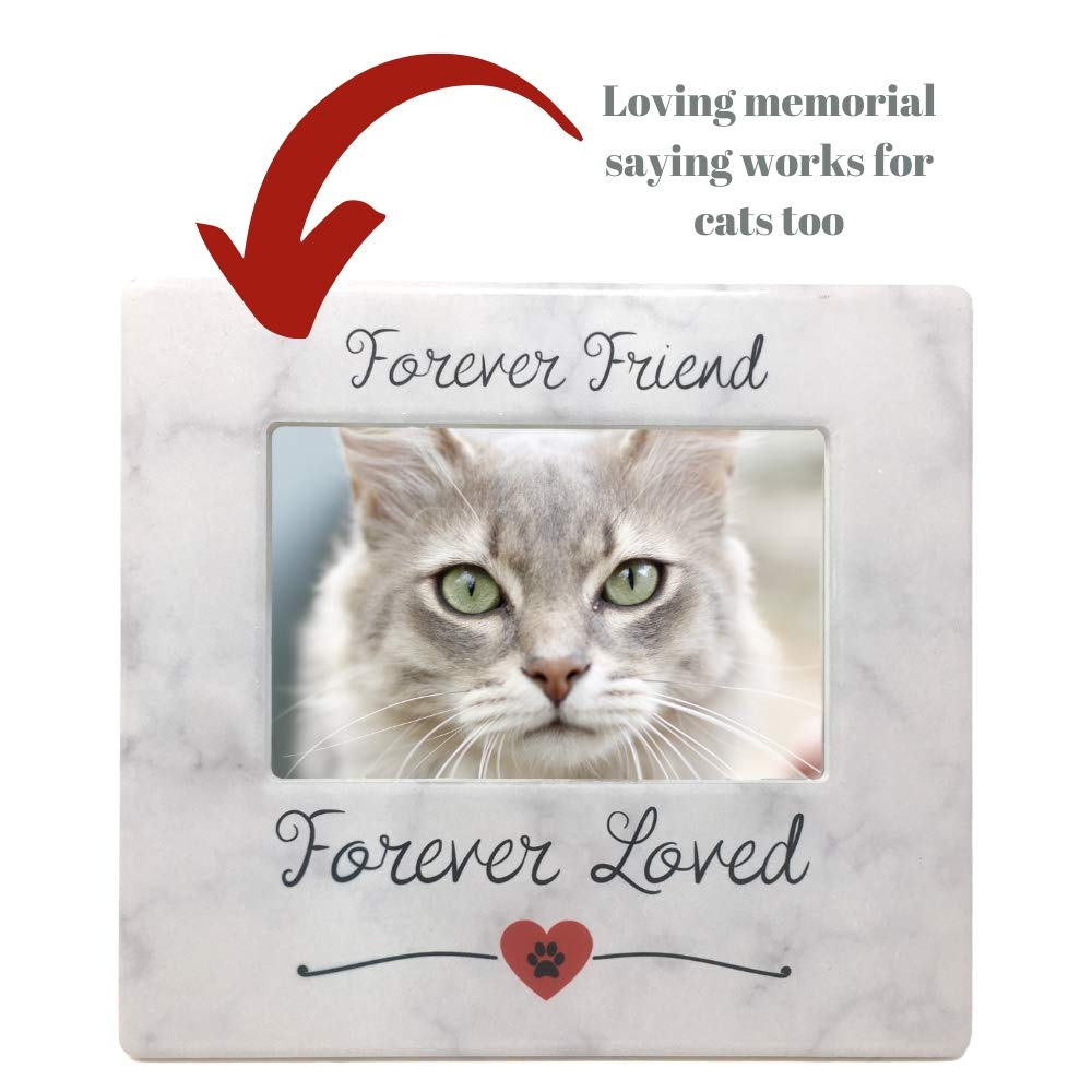 Banberry Designs Pet Memorial Frame - Forever Friend Forever Loved Paw Print And Heart Design Picture Frame - Easel Back - Loss