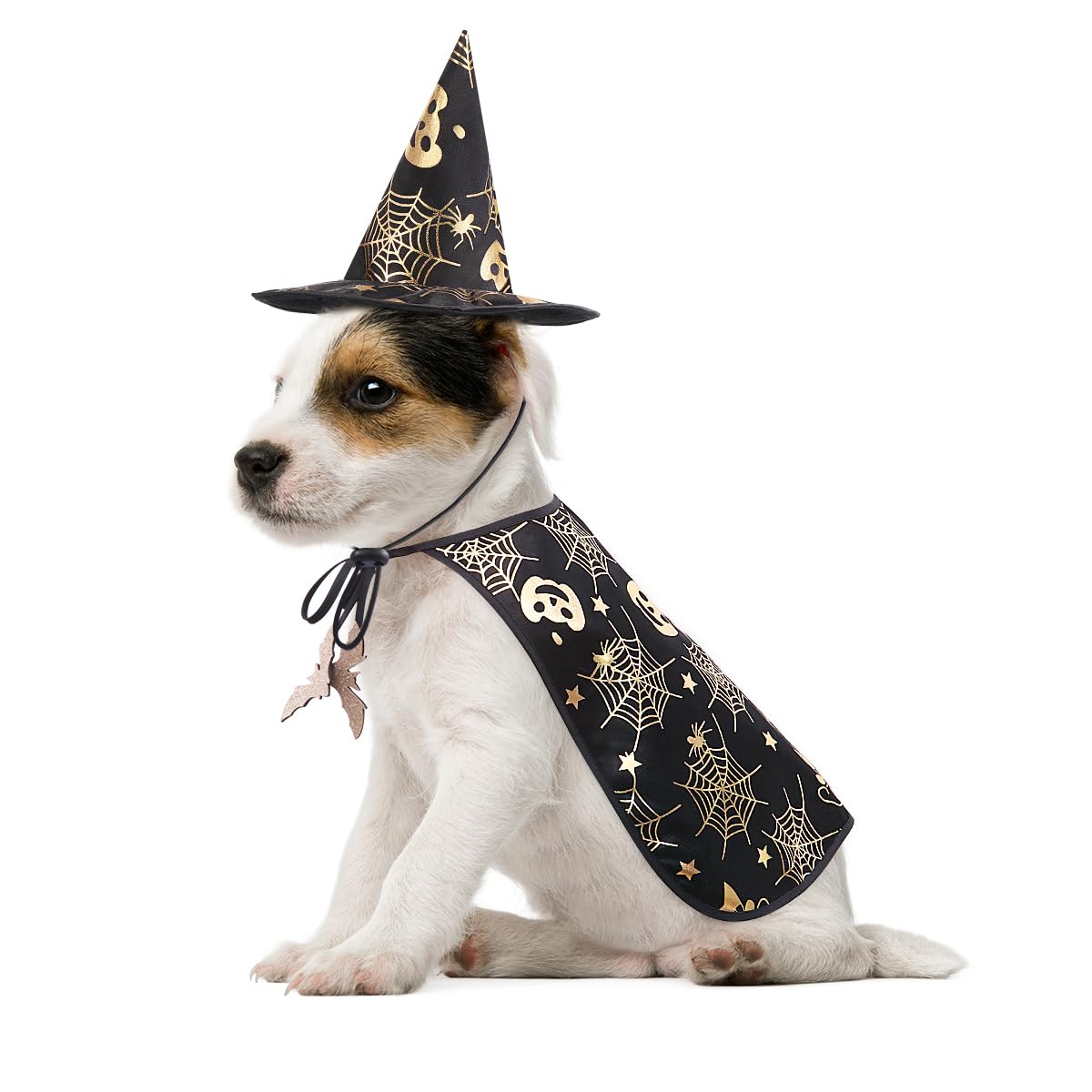 Pet Halloween Costumes Cape With Wizard Hat Dog Cat Halloween Apparels (Size S)