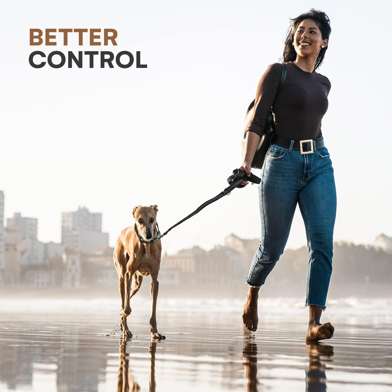 Black Rhino Heavy Duty Dog Leash - 6Ft Long Leash For Medium And Large Dogs - Dual Handle Training Lead With Padded Grip, Bag, Reflective Stitching, And Weather Resistant