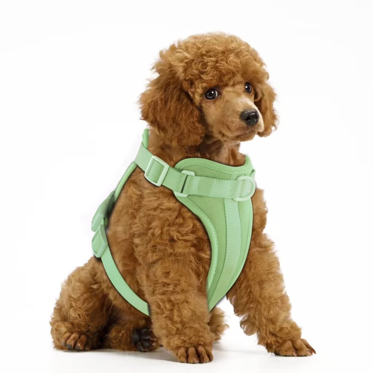 Wisedog No Pull Lightweight Dog Vest Harness With Soft And Comfortable Cushion, Breathable Mesh, For Small Medium Large Dogs Walking (S(Neck: 9.84'-14.17';Chest: 14.17'-22.05'), Sage Green)