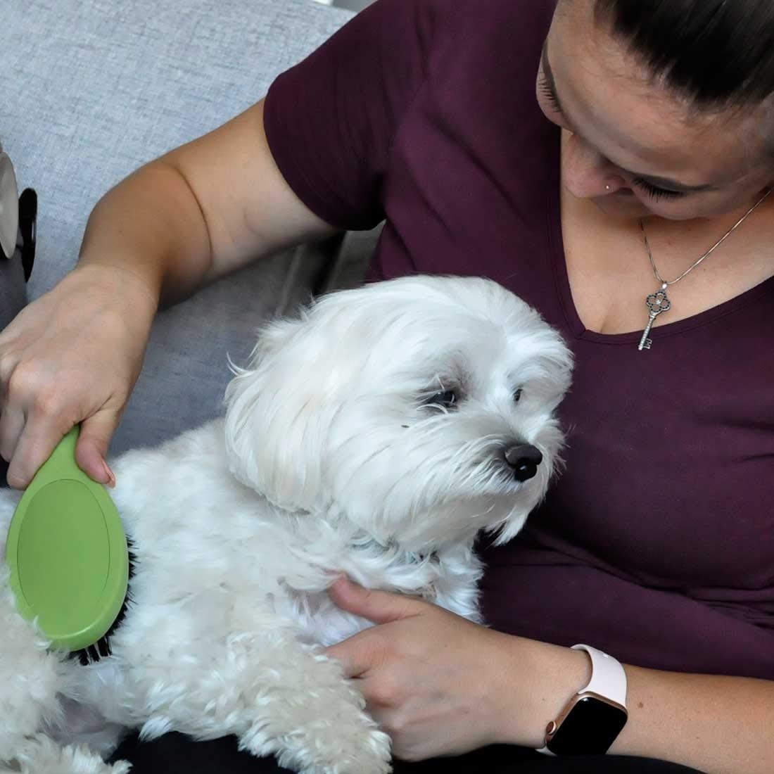 Coastal Pet Safari Bristle Dog Brush, Brush, Small (8' L X 2' W)