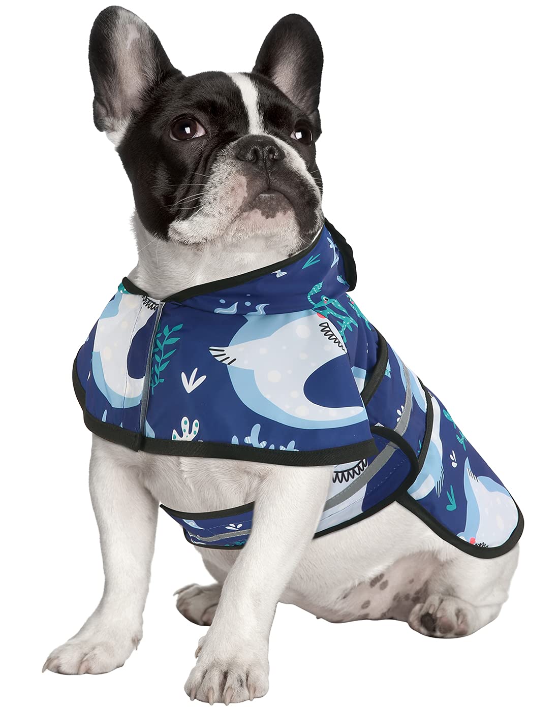 Hde Dog Raincoat Hooded Slicker Poncho For Small To X-Large Dogs And Puppies Sharks - M