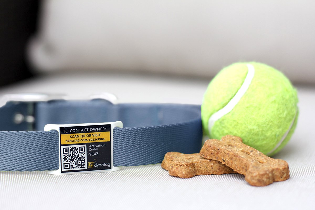 Dynotag® Web Enabled Super Pet Id Smart Tag. Slider Style W. Dynoiq™ & Lifetime Recovery Service (Open Slot, Tag Only, For 3/4 Inch Collar Band)