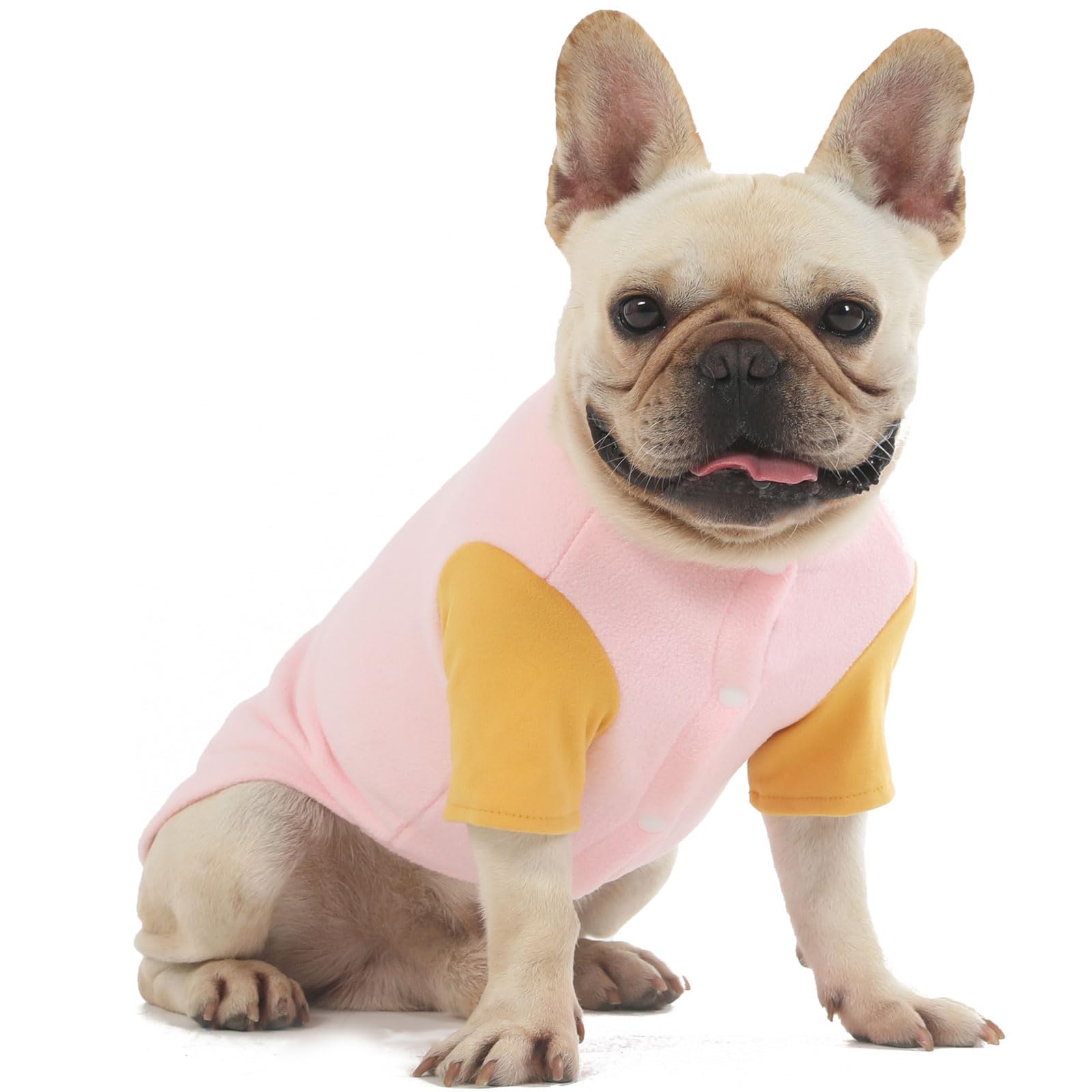 Sweater Clothes For Small Medium Dogs Boy And Girl - Jacket Winter Coat With O-Ring Leash, Stretchy Warm Sweatshirt, Cat Puppy A