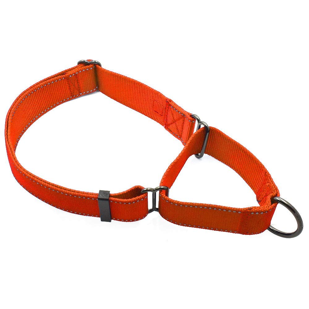 Max And Neo Nylon Extra Large Dog Martingale Collar - We Donate A Collar To A Dog Rescue For Every Collar Sold (Orange)