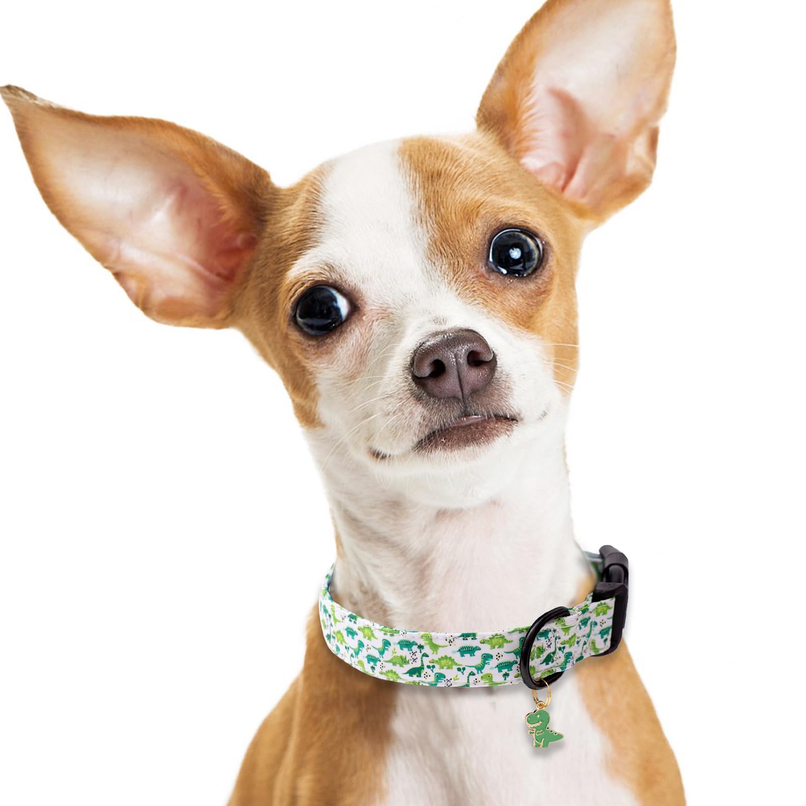 Faygarsle Dog Collar For Small Medium Large Dogs Cute Green Puppy Collars For Male Dogs Dinosaur Patterned Pet Collars For Summe