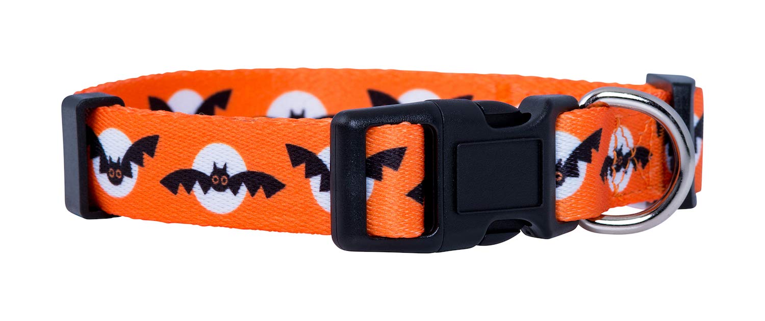 Native Pup Halloween Dog Collar (Medium, Bats And Moon)