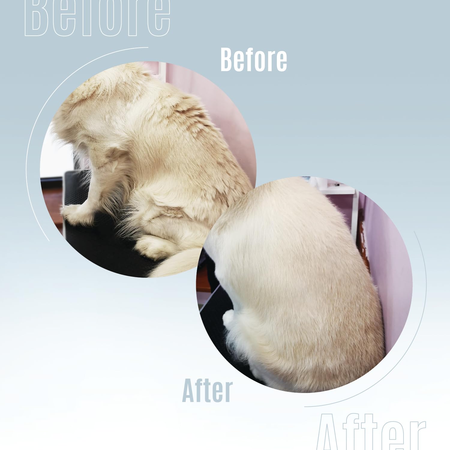 Tauro Pro Line Pure Nature Herbal Detox Deep Cleansing Gentle Formula Pet Shampoo Healthy Skin & Coat Care Grooming For Dogs And