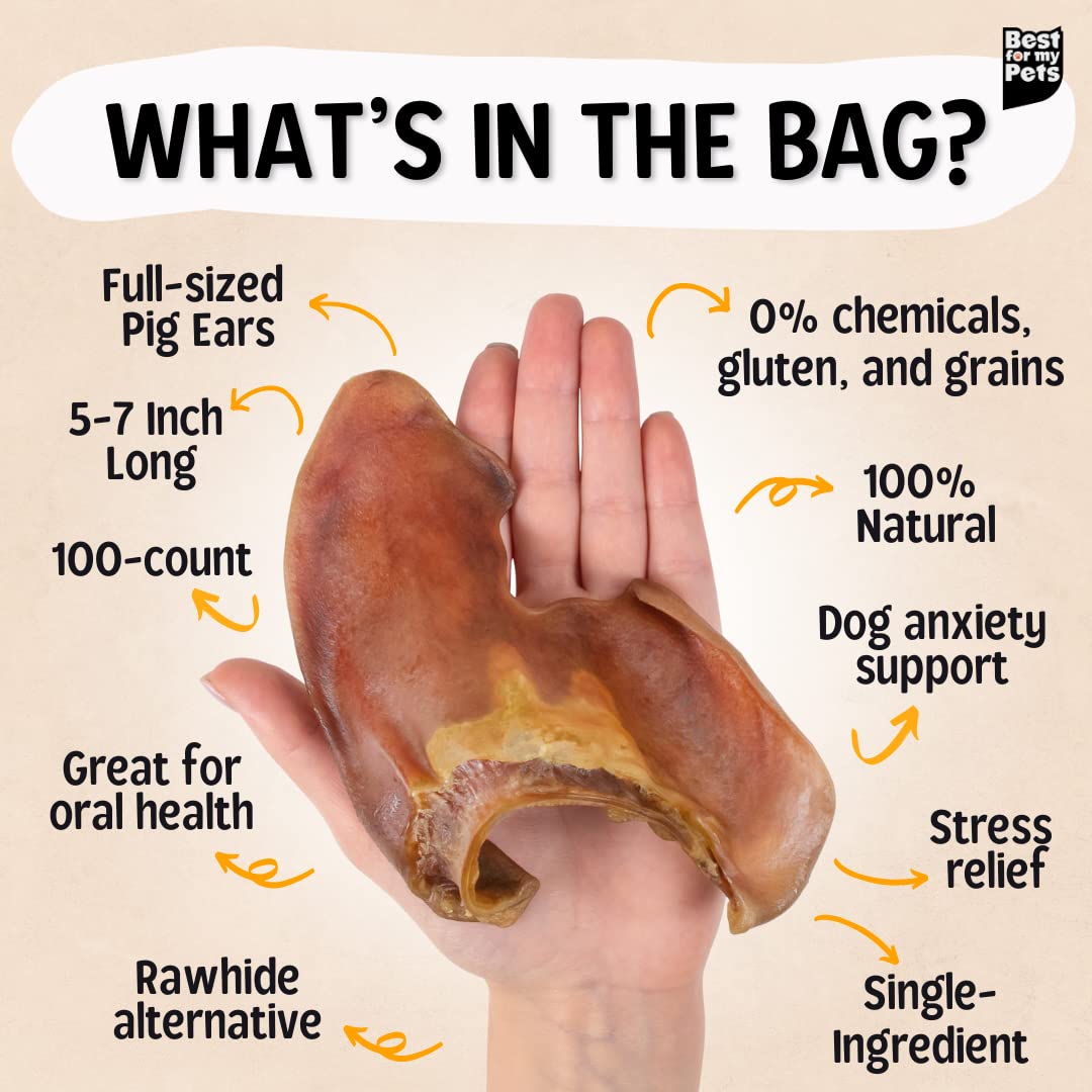 Best For My Pets Pig Ears for Dogs (Whole, 100 Pack), Healthy, Highly Digestible All Natural Pigs Ears Long-Lasting Dog Chews, P