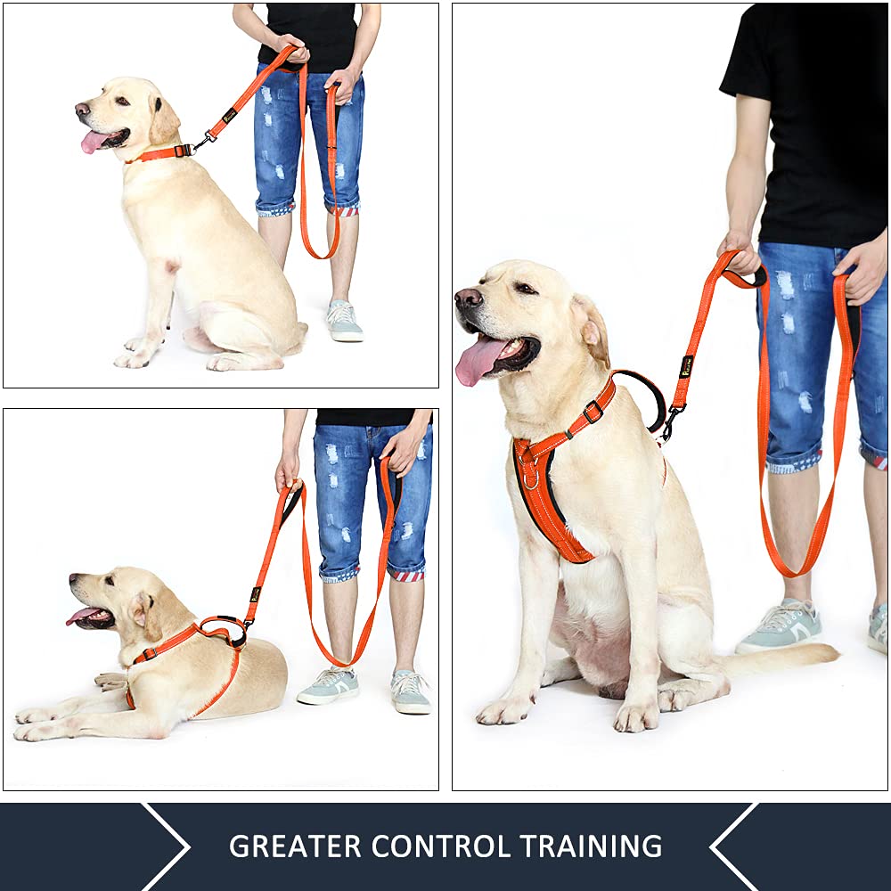 Plutus Pet Double Handle Dog Leash 4Ft, Heavy Duty, Reflective Dual Handle Dog Leash For Safety Training, For Medium Large Dogs,