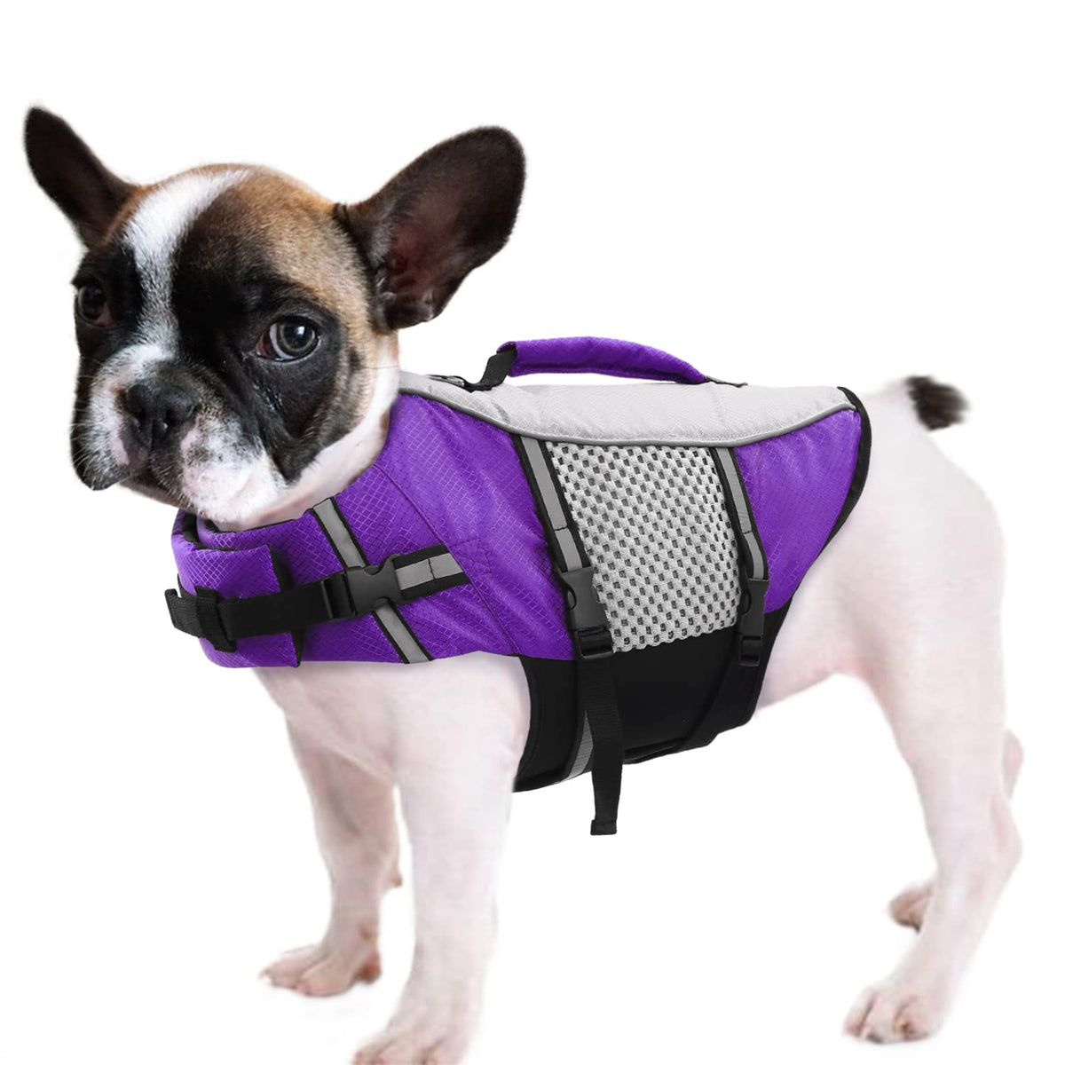 Queenmore Dog Life Jacket Swimming Vest Lightweight High Reflective Pet Lifesaver With Lift Handle, Leash Ring Purple,L