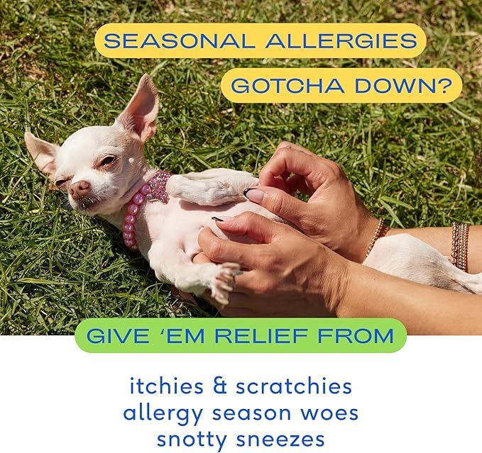 Native Pet Dog Allergy Chews - Dog Allergy Relief with Probiotics and Colostrum for Itchy Skin Relief to Support Seasonal Allerg