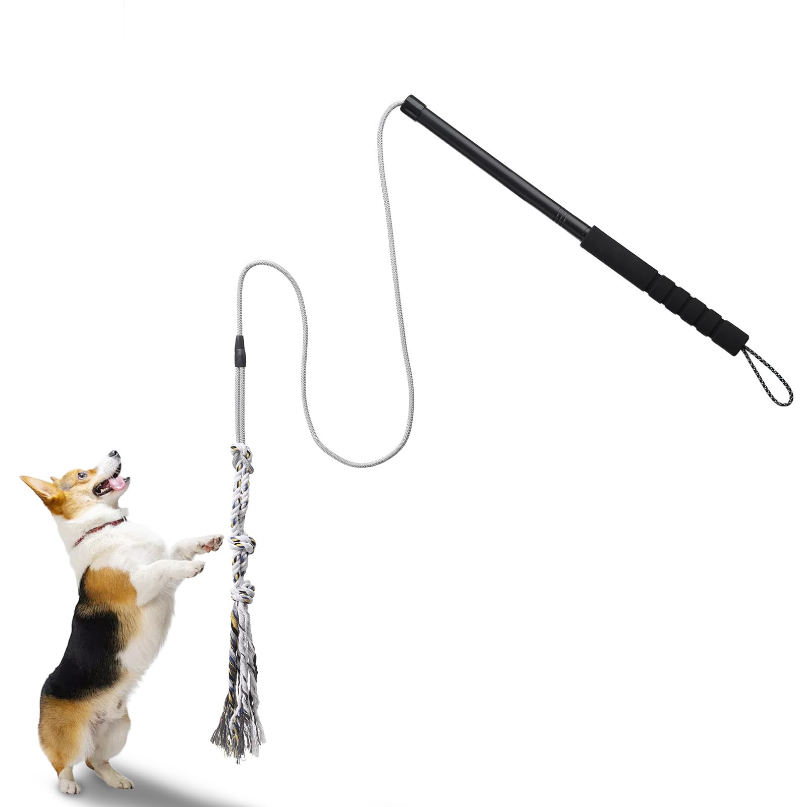Gingull Outdoor Flirt Pole For Dogs - Interactive Toy Teaser Wand For Dogs Outdoor Chase And Tug Of War Heavy Duty Dog Flirt Pol