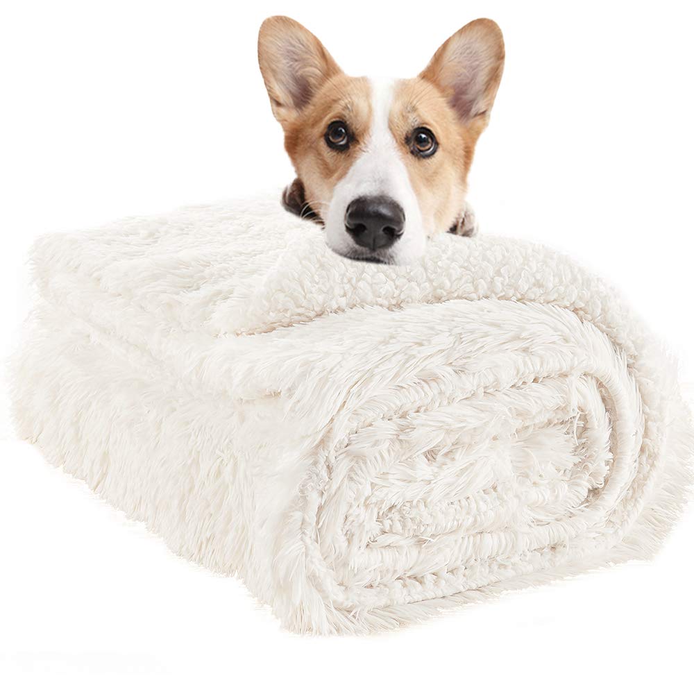Lochas Luxury Fluffy Dog Blanket, Extra Soft And Warm Sherpa Fleece Pet Blankets For Dogs Cats, Plush Furry Faux Fur Puppy Throw Cover, 40''X60'' Cream White