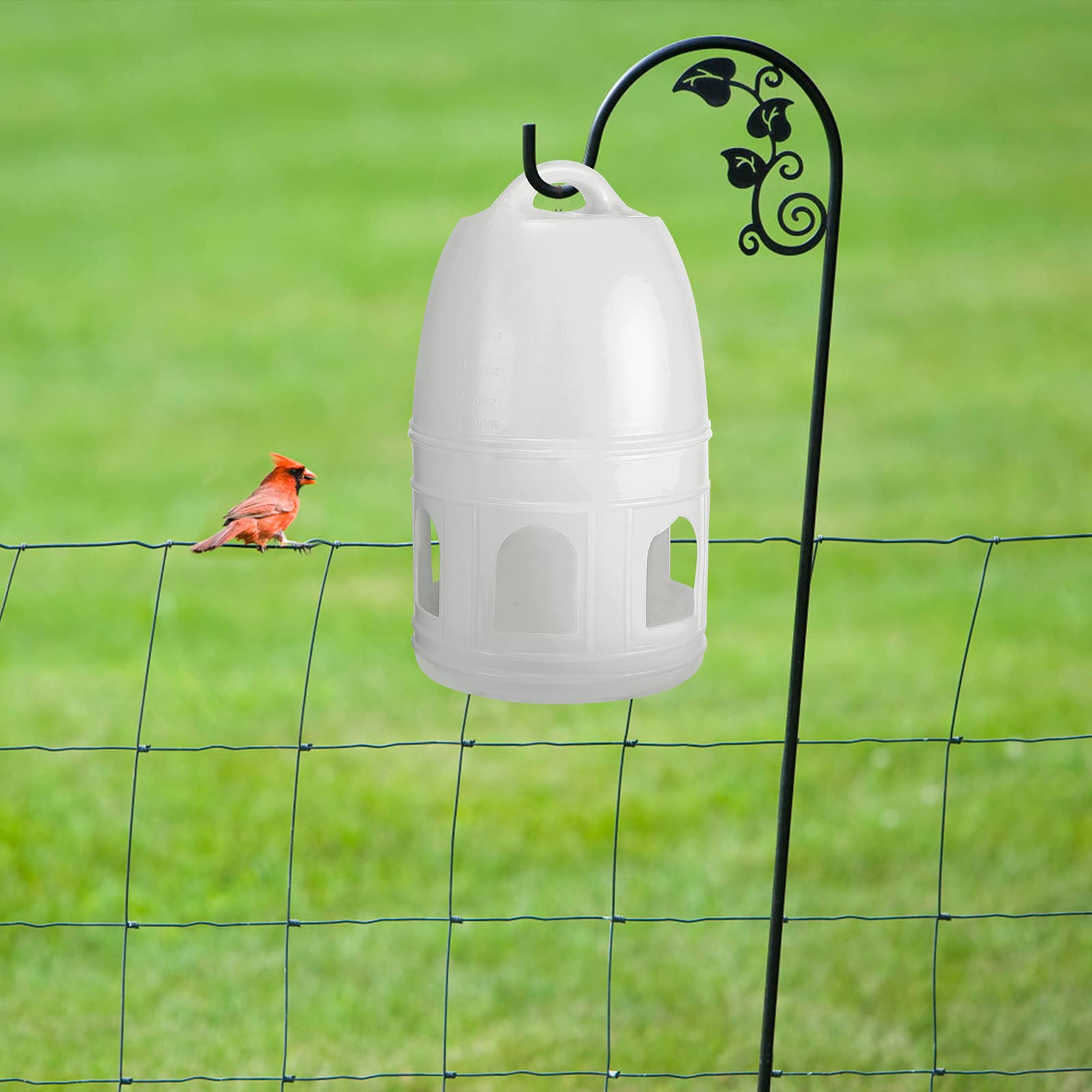 Popetpop Pigeon Water Dispenser, Plastic Bird Feeder, Durable, Hanging Design, Suitable For Travel