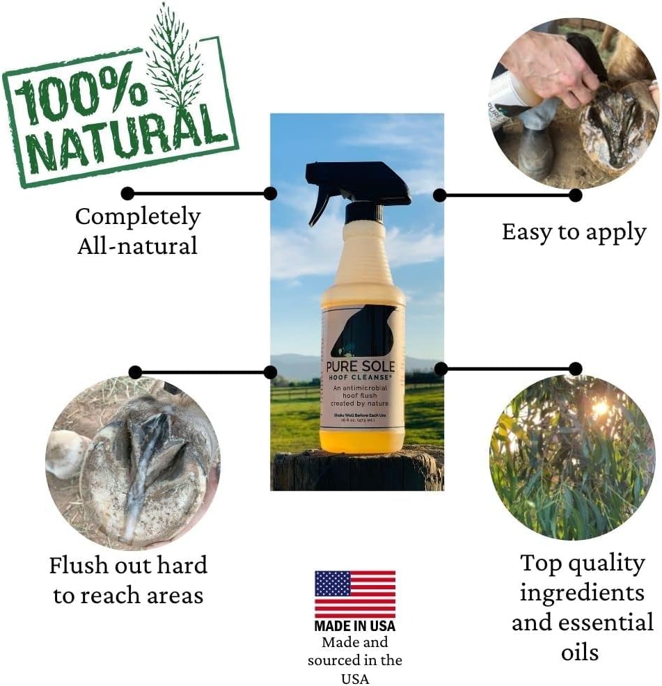 Pure Sole Horse Hoof Cleaner | Thrush Treatment for Horses - All Natural Hoof Cleanse, Use for White Line, Abscess Treatment, Cr