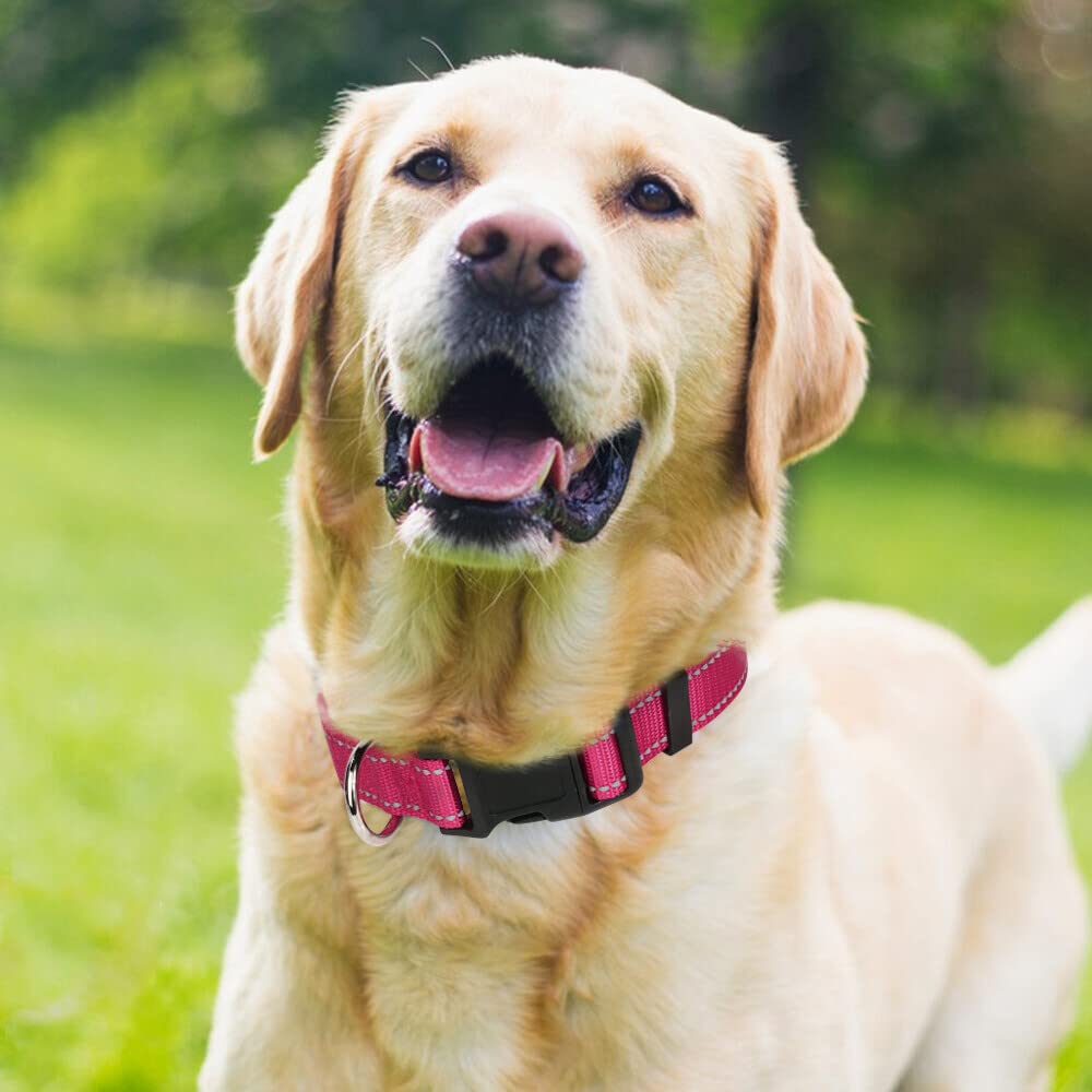 Taglory Reflective Adjustable Dog Collars For Puppy Small Medium Large Dogs, Thin Nylon Webbing And Quick Release Plastic Buckle(Hot Pink,Large)