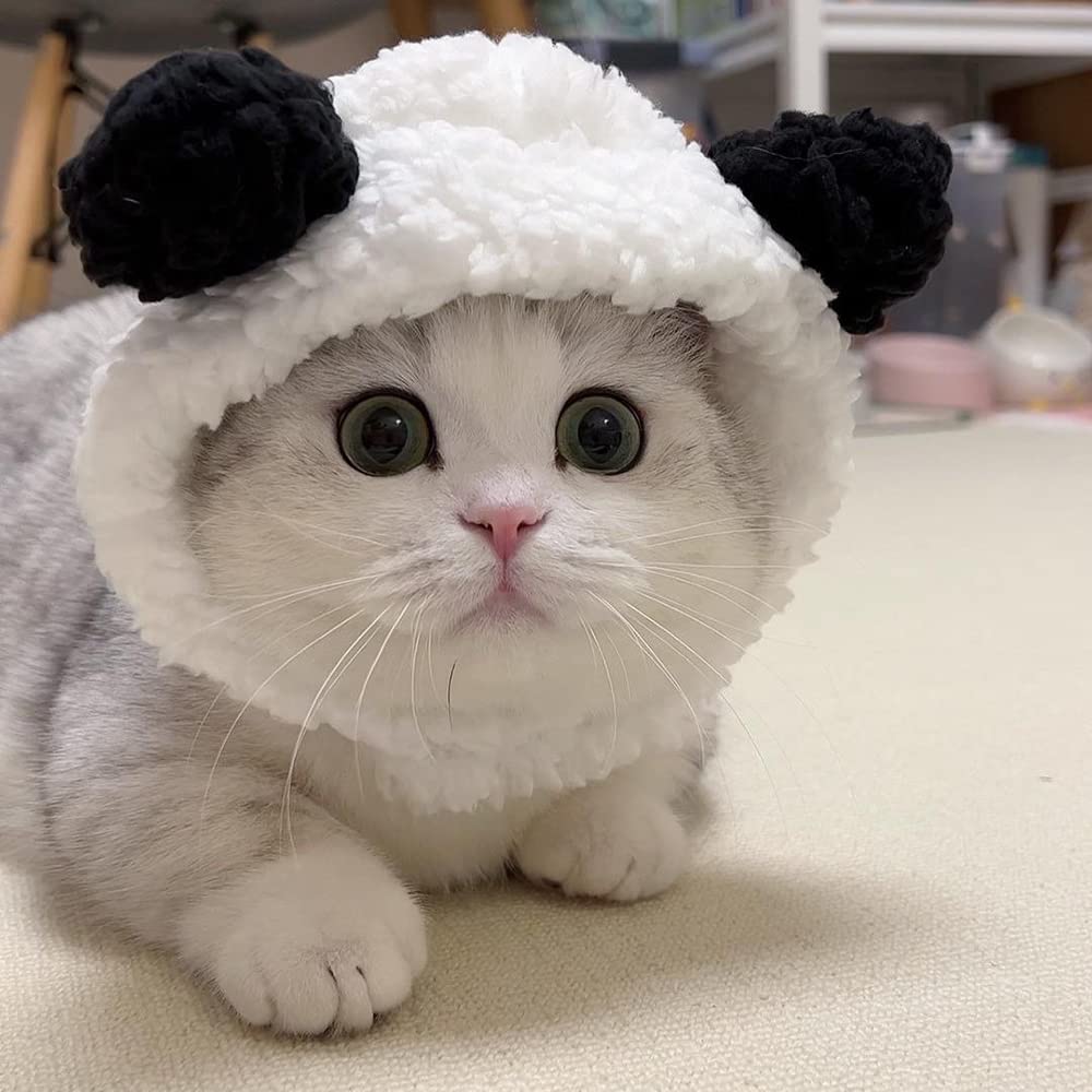 Joicee Cute Cat Costume Warm Bear Hat For Cat Adjustable Soft Small Pet Headwear Bear Hat For Cat Puppy Dog (Black&White)