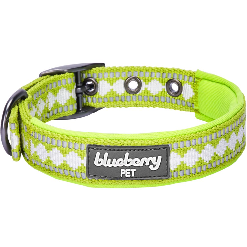 Blueberry Pet Soft & Safe 3M Reflective Jacquard Neoprene Padded Adjustable Dog Collar With Metal Buckle - Macaw Green, Neck 9-1