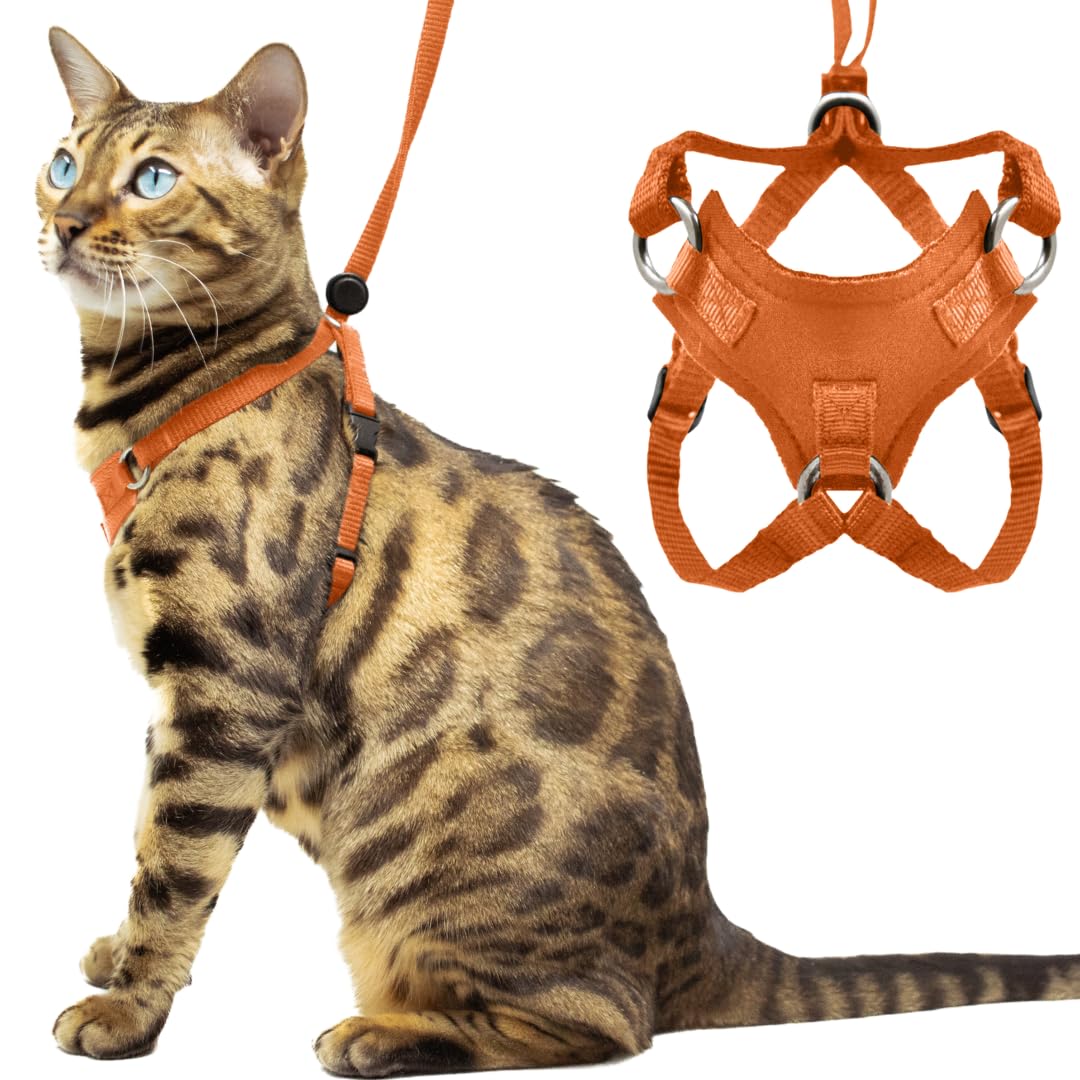 Houdini Escape Proof Kitten Harness And Leash Set By Outdoorbengal - Orange, Small Cat Harness For Walking