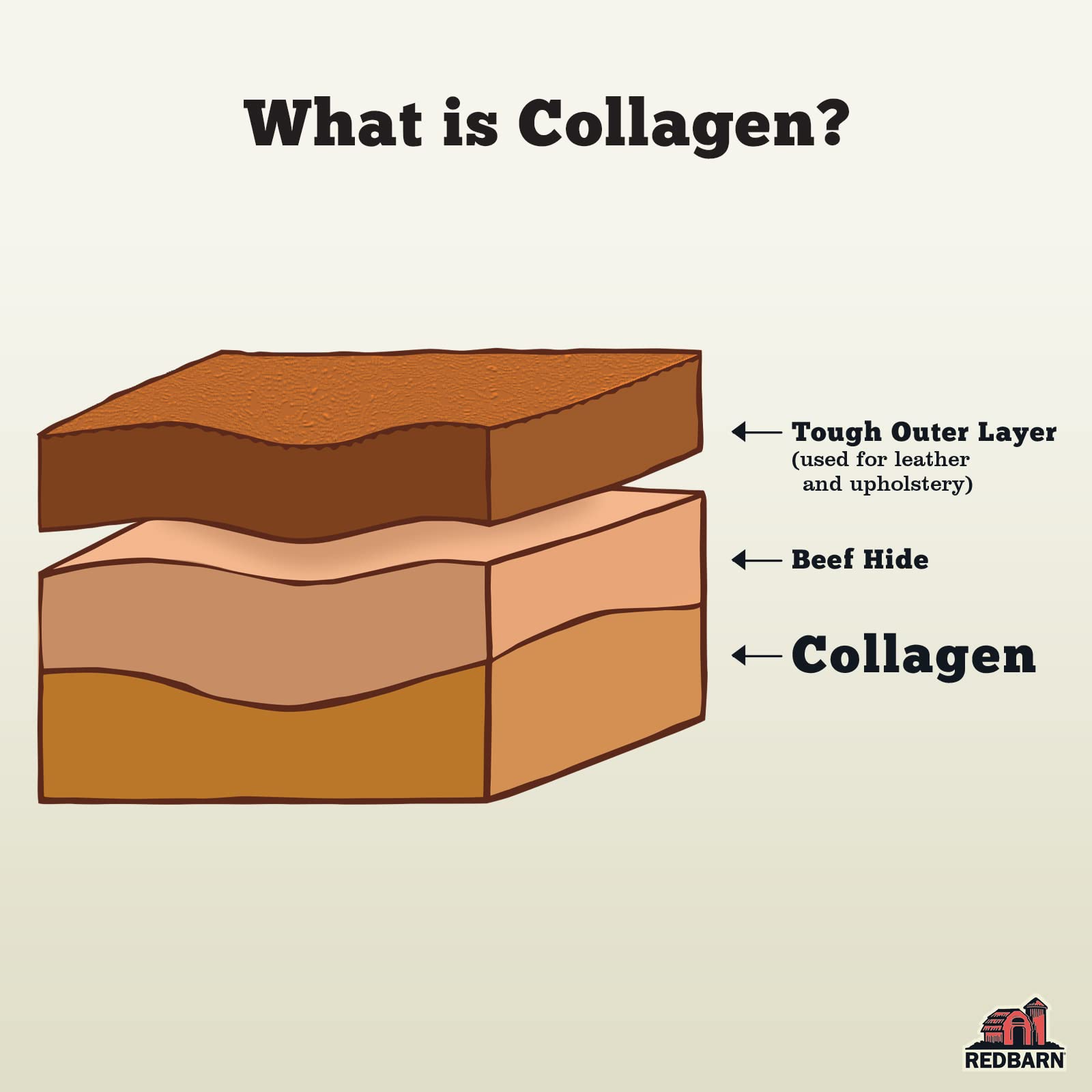 Redbarn Pet Products Natural Small Collagen Sticks for Dogs - Long Lasting Alternative to Traditional Rawhide & Bully - Supports