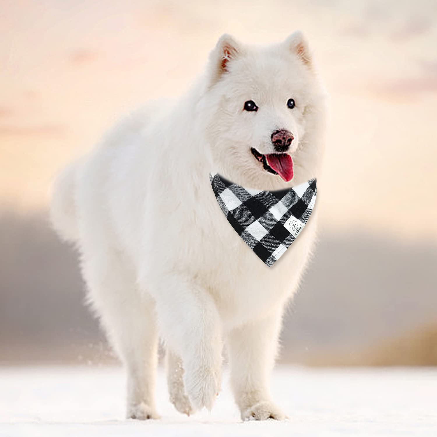 E-Clover Dog Bandanas Matching Owner Beanie Plaid Dog Bandana Bibs With Knit Hat For Medium Large Dogs Mom Dad Gifts White Black